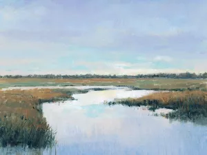 Coastal Plains I by Tim O'Toole Oil Painting