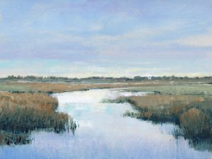 Coastal Plains II by Tim O'Toole Oil Painting