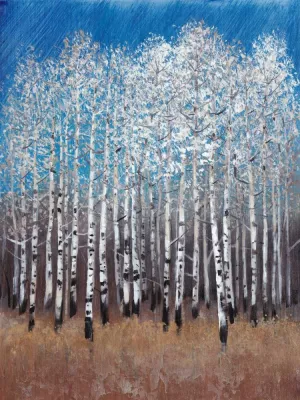 Cobalt Birches II Oil Painting by Tim O'Toole - Bestsellers