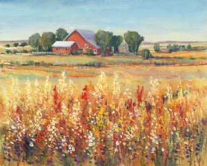 Country View I by Tim O'Toole Oil Painting