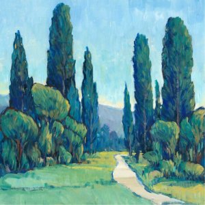 Cypress Path II by Tim O'Toole Oil Painting