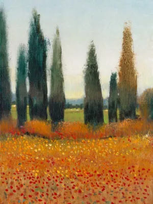Cypress Trees I by Tim O'Toole Oil Painting