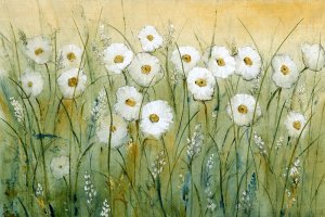 Daisy Spring I by Tim O'Toole Oil Painting