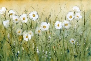 Daisy Spring II by Tim O'Toole Oil Painting