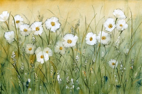 Daisy Spring II by Tim O'Toole - Hand-Painted Oil Painting Reproduction