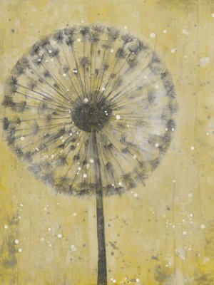 Dandelion Abstract II by Tim O'Toole Oil Painting