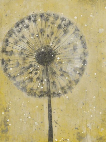 Dandelion Abstract II by Tim O'Toole - Hand-Painted Oil Painting Reproduction