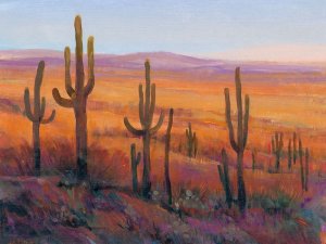 Desert Light I by Tim O'Toole Oil Painting