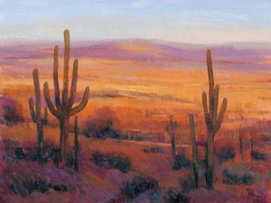 Desert Light II by Tim O'Toole Oil Painting