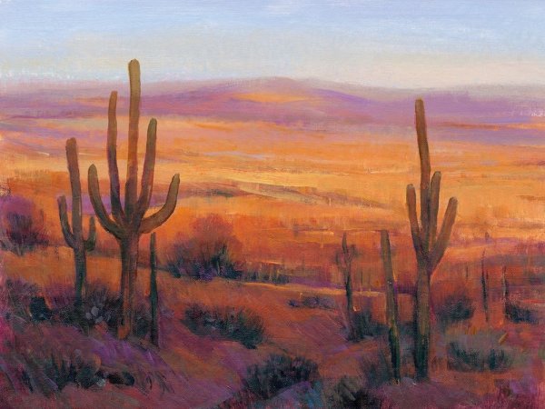 Main Product Photo of Desert Light II Painting by Tim O'Toole