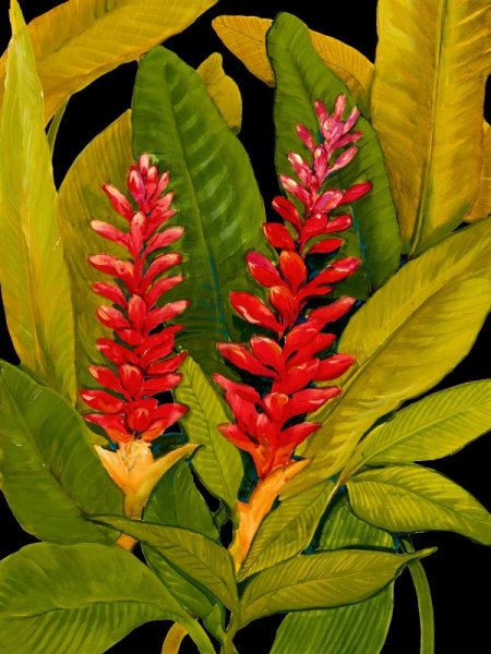 Main Product Photo of Dramatic Red Ginger Painting by Tim O'Toole