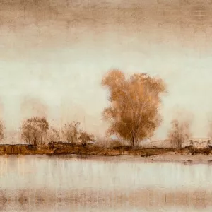 Dreamy Shore I by Tim O'Toole Oil Painting