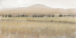 Dry Heat I by Tim O'Toole Oil Painting