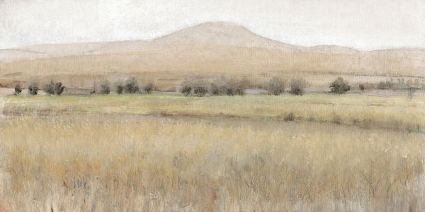 Dry Heat I by Tim O'Toole - Hand-Painted Oil Painting Reproduction