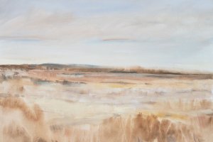 Drylands I by Tim O'Toole Oil Painting