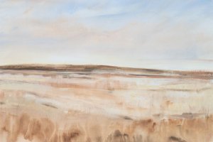 Drylands II by Tim O'Toole Oil Painting