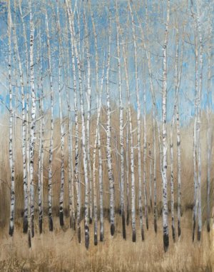Dusty Blue Birches I by Tim O'Toole Oil Painting