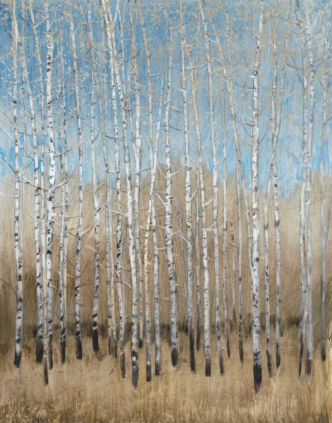 Main Product Photo of Dusty Blue Birches I Painting by Tim O'Toole