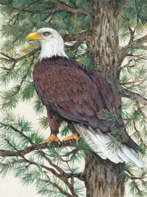 Eagle in the Pine Oil Painting by Tim O'Toole - Contemporary