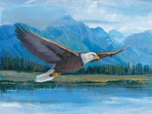 Eagle Soaring by Tim O'Toole Oil Painting