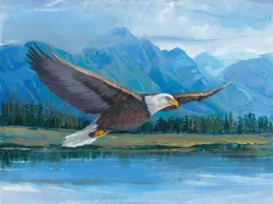 Eagle Soaring Oil Painting by Tim O'Toole - Bestsellers