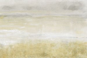 Embellished Squall I by Tim O'Toole Oil Painting