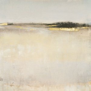 Embellished Subtle Scape I by Tim O'Toole Oil Painting