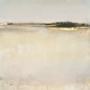 Embellished Subtle Scape I by Tim O'Toole Oil Painting