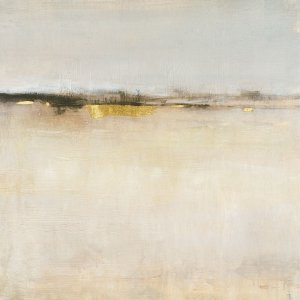 Embellished Subtle Scape II by Tim O'Toole Oil Painting