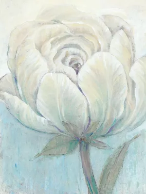 English Rose I by Tim O'Toole Oil Painting