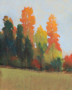 Fall Colors II by Tim O'Toole Oil Painting