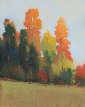 Fall Colors II by Tim O'Toole Oil Painting