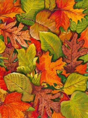 Fallen Leaves I by Tim O'Toole Oil Painting