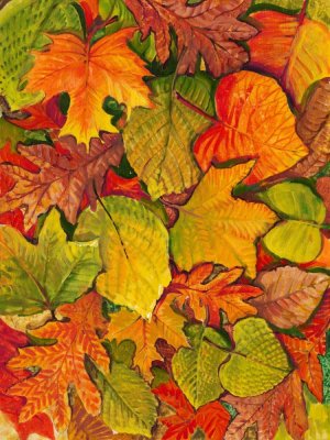 Fallen Leaves II by Tim O'Toole Oil Painting