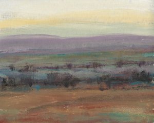 Fast Fading Light I Oil Painting by Tim O'Toole - Contemporary