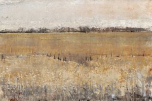 Fenced In II by Tim O'Toole Oil Painting