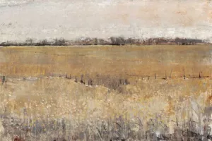 Fenced In II by Tim O'Toole Oil Painting