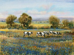 Field of Cattle I by Tim O'Toole Oil Painting