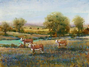 Field of Cattle II by Tim O'Toole Oil Painting