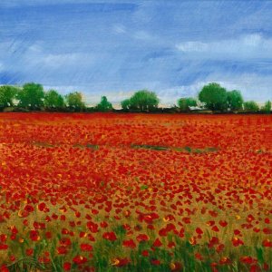Field of Poppies I by Tim O'Toole Oil Painting