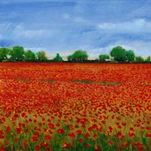 Field of Poppies I by Tim O'Toole Oil Painting