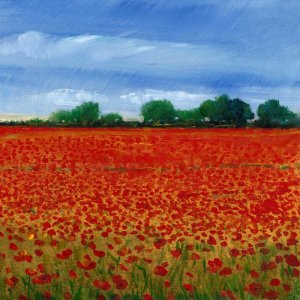 Field of Poppies II by Tim O'Toole Oil Painting