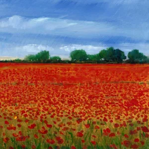 Field of Poppies II by Tim O'Toole Oil Painting