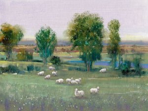 Field of Sheep I by Tim O'Toole Oil Painting