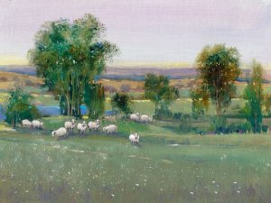 Field of Sheep II by Tim O'Toole Oil Painting