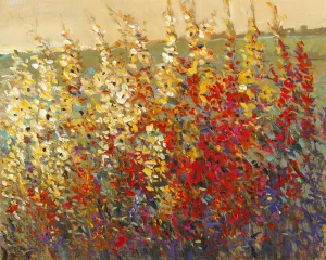 Field of Spring Flowers I by Tim O'Toole Oil Painting