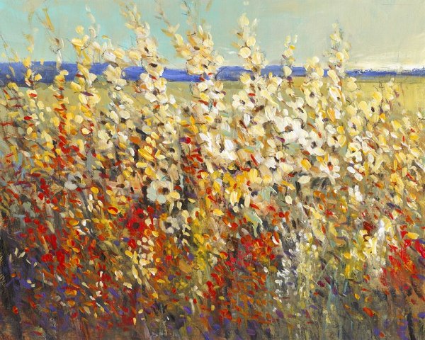 Field of Spring Flowers II by Tim O'Toole - Hand-Painted Oil Painting Reproduction