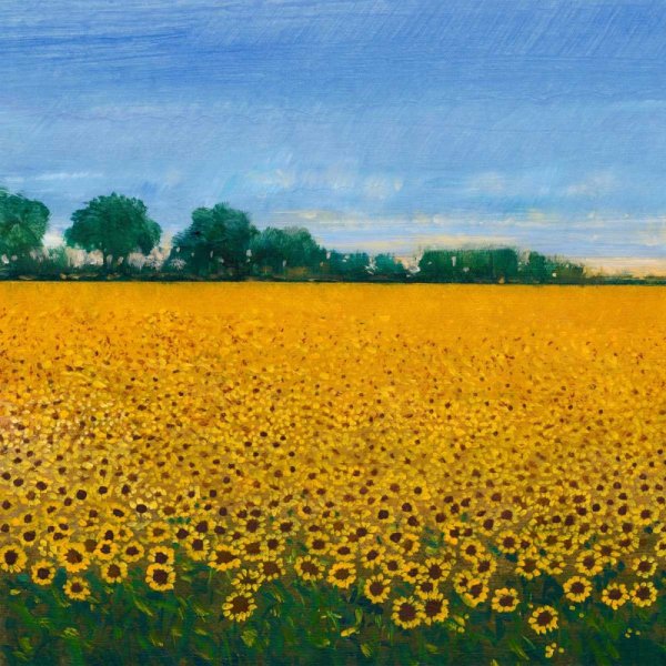 Field of Sunflowers I by Tim O'Toole - Hand-Painted Oil Painting Reproduction