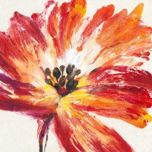 Fleur Rouge I by Tim O'Toole Oil Painting