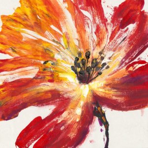 Fleur Rouge II by Tim O'Toole Oil Painting